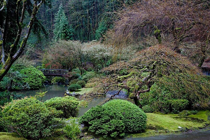 File:Japanese Garden -1.jpg