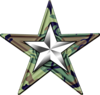 The Military Barnstar