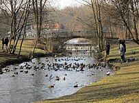 Poznań has many parks, large botanical garden and palm house. Scene at Sołacki Park.