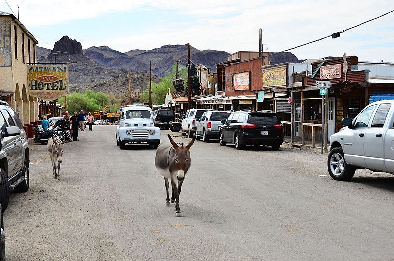 File:Oatman 01.jpg