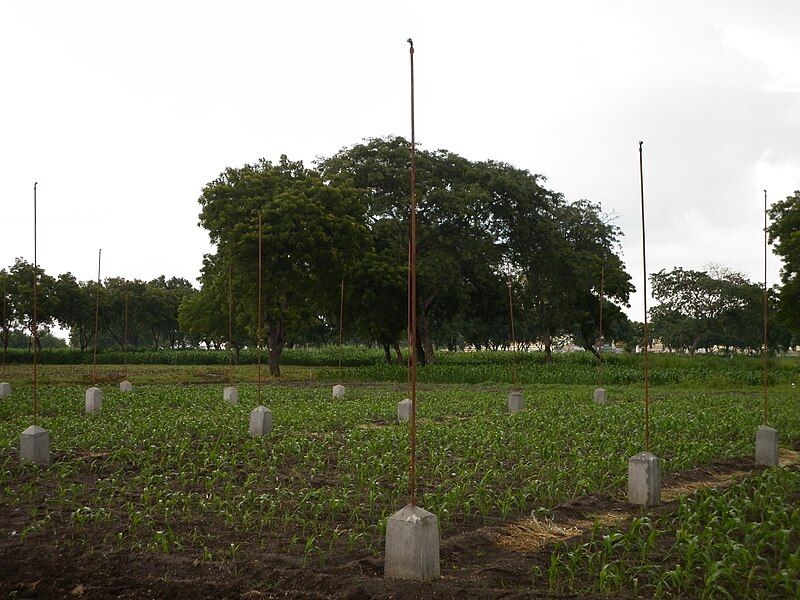 File:Overhead sprinkler.JPG