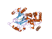 2yu1: Crystal structure of hJHDM1A complexed with a-ketoglutarate