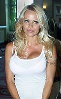 Pamela Anderson (2003)