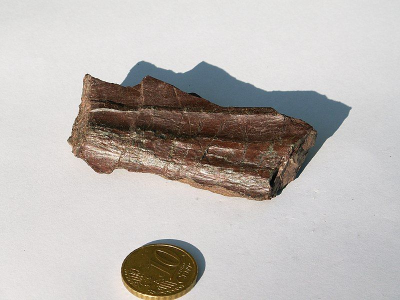 File:Radiolarite 01.jpg