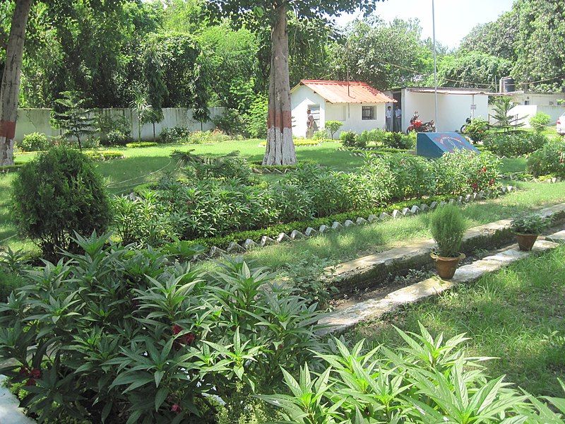 File:School Garden.jpg