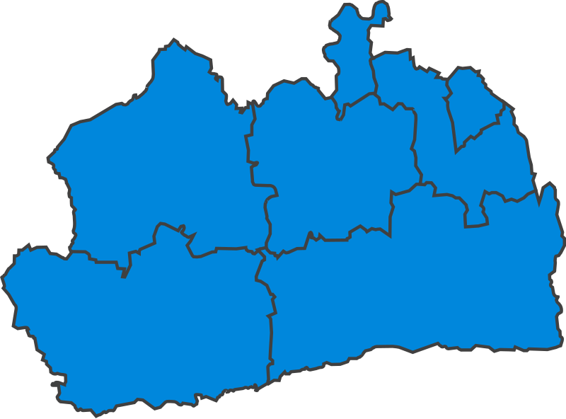 File:SurreyParliamentaryConstituency1885Results.svg