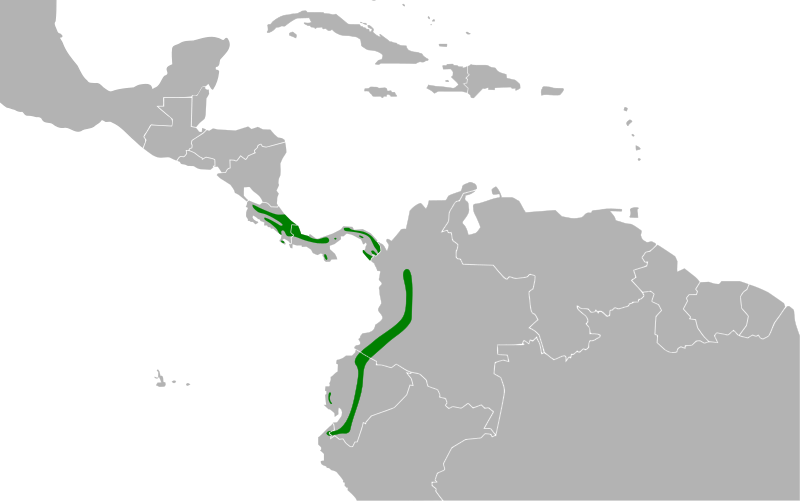 File:Tangara icterocephala map.svg