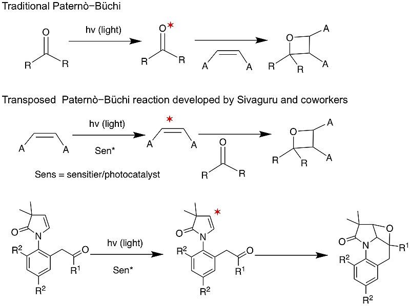 File:Transposed Paternò−Büchi reaction.jpg