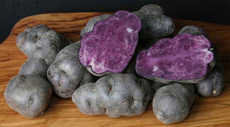 File:Vitelotte.jpg