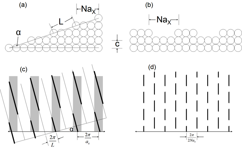 File:XrayCTRexamples.png