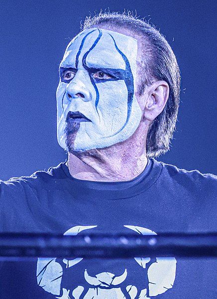 File:20230122sting1 (cropped).jpg