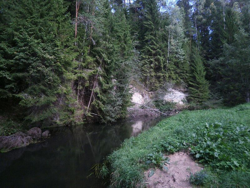 File:Ahja river, Valgemetsa.JPG