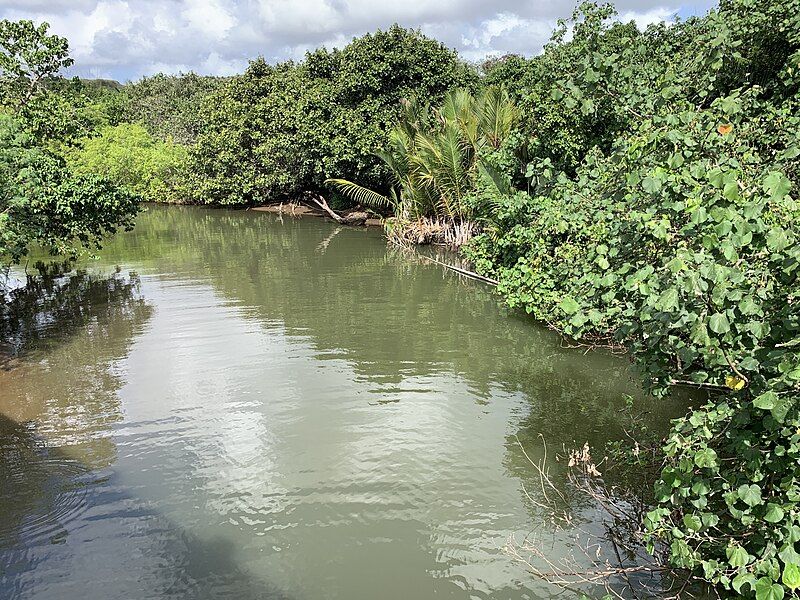 File:Ajayan River.jpg