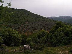 Ajloun Mountains