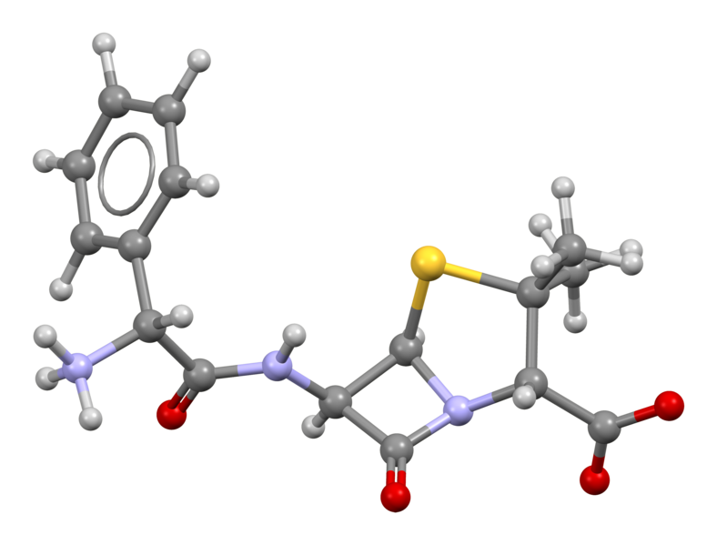 File:Ampicillin-from-xtal-3D-bs-17.png