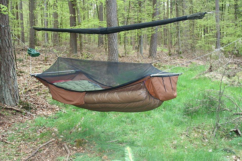 File:Bridge Hammock.jpg