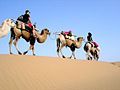 Camel ride in the Tengger Desert, August 19, 2005