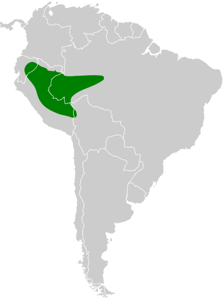 File:Conopophaga peruviana map.svg