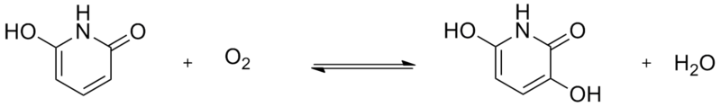 File:Enzyme2,6-dihydroxypyridine.png