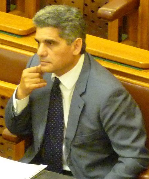 File:Farkas Flórián.JPG