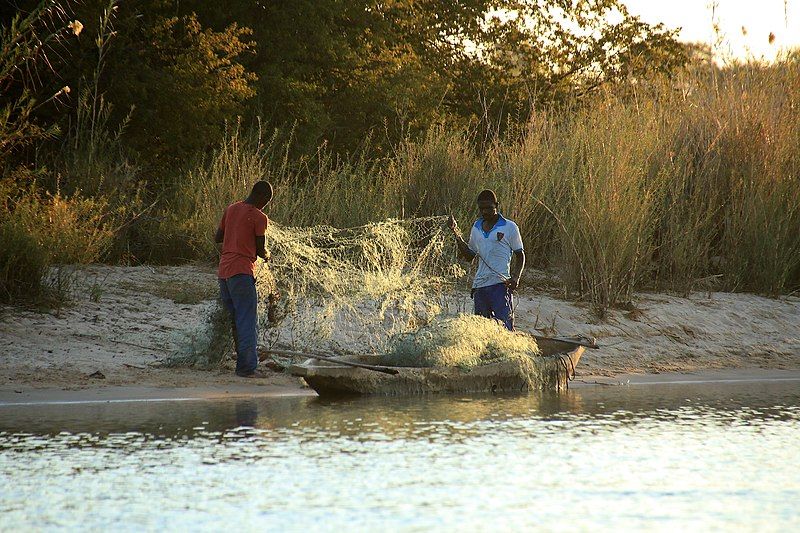 File:Fischernetz Okavango.jpg