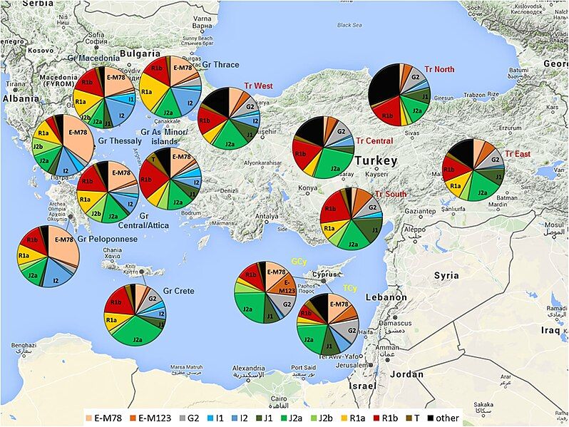 File:HaplogroupdifferencesbetweenTurksandGreeks.jpg