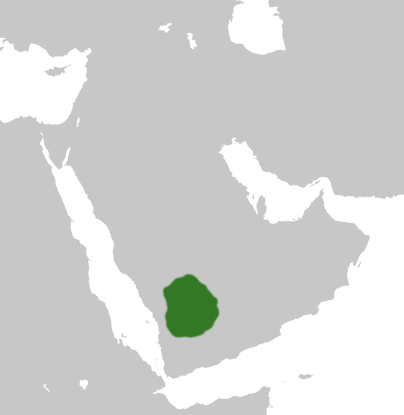 File:Kingdom of Ma'in.png