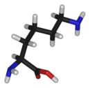 3D structure of L-lysine