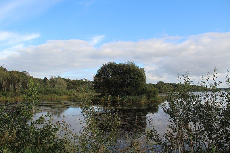 File:Lough Rynn Crannóg.JPG