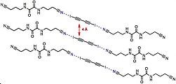 The catalyst-monomer cocrystal. Units repeat every 5.25 Å and are oriented at 51.3˚.