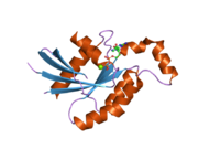 2j1l: CRYSTAL STRUCTURE OF HUMAN RHO-RELATED GTP-BINDING PROTEIN RHOD