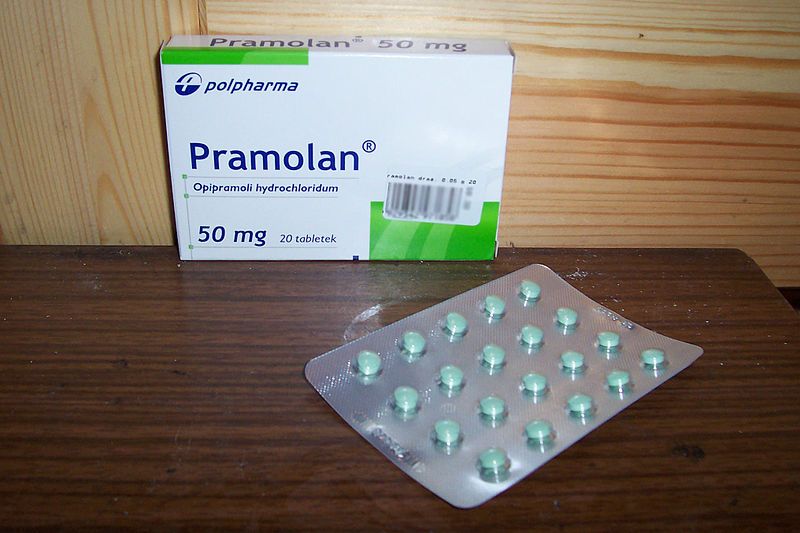 File:Pramolan PL photo.jpg