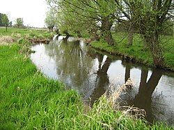 River in Kępa