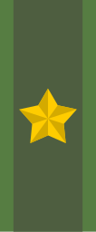 File:SWE-Brigadgeneral.svg