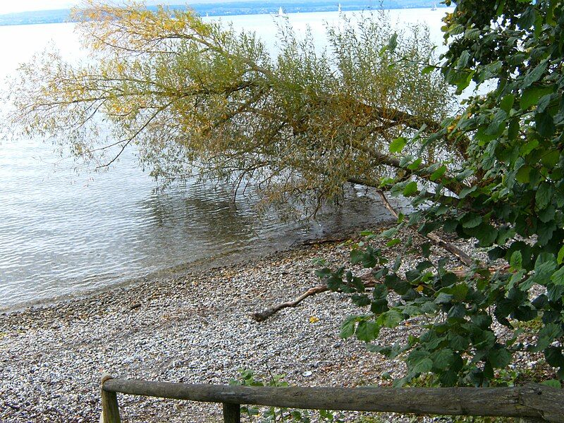 File:Stetten-bodenseekreis-naturstrand.JPG