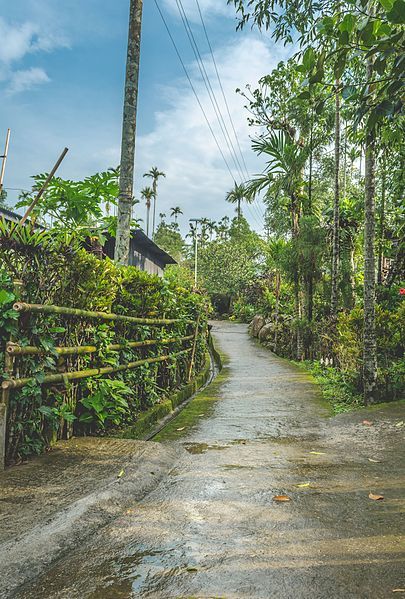 File:Street in Mawlynnong.jpg