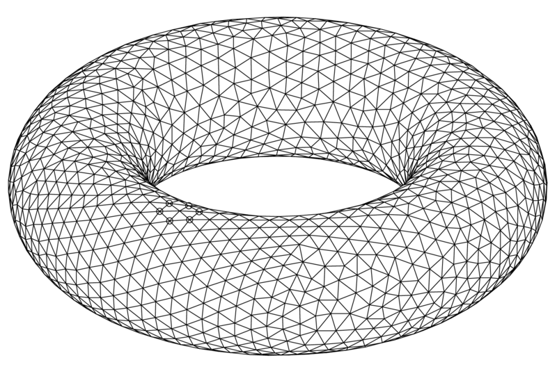 File:Torus-triang.png