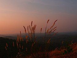 Valamangalam, Pulpetta