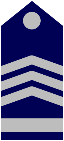 File:15 R6 Sergeant.svg