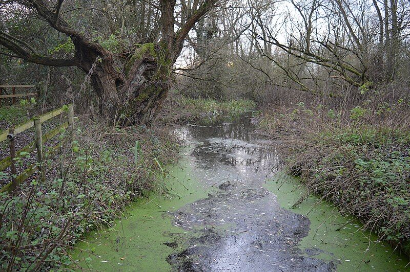 File:Begwary Brook 3.JPG