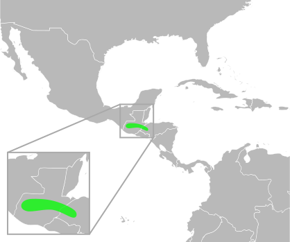 File:Bufo ibarri distribution.svg