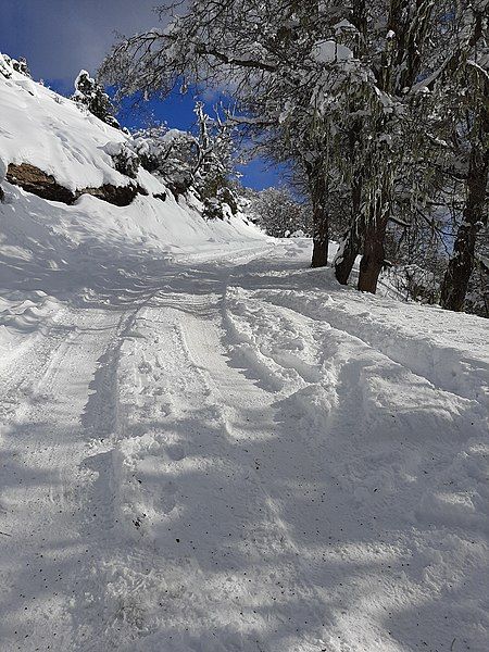 File:Cerro Otto nevado.jpg