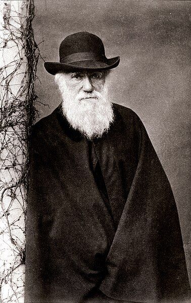 File:Darwin 1881.jpg