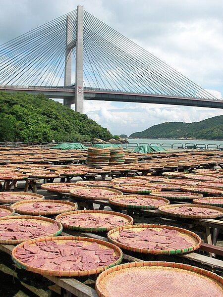 File:Drying shrimp paste.jpg