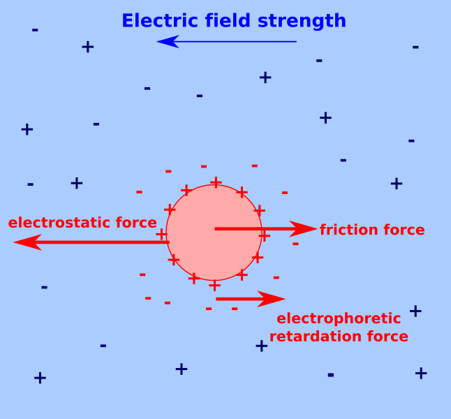 File:Electrophoresis2.svg