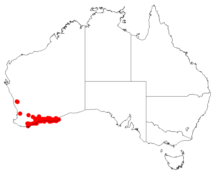 File:Isopogon polycephalusDistMap28.png