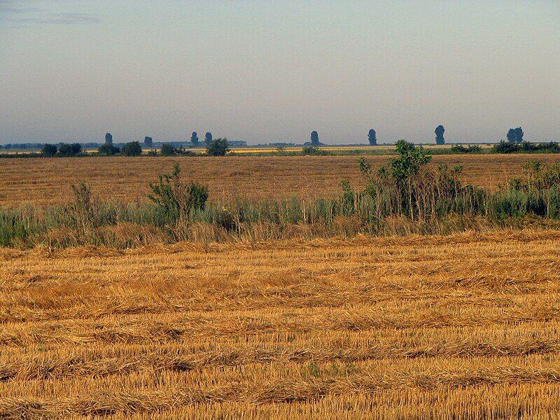 File:Județul Călărași, România.jpg