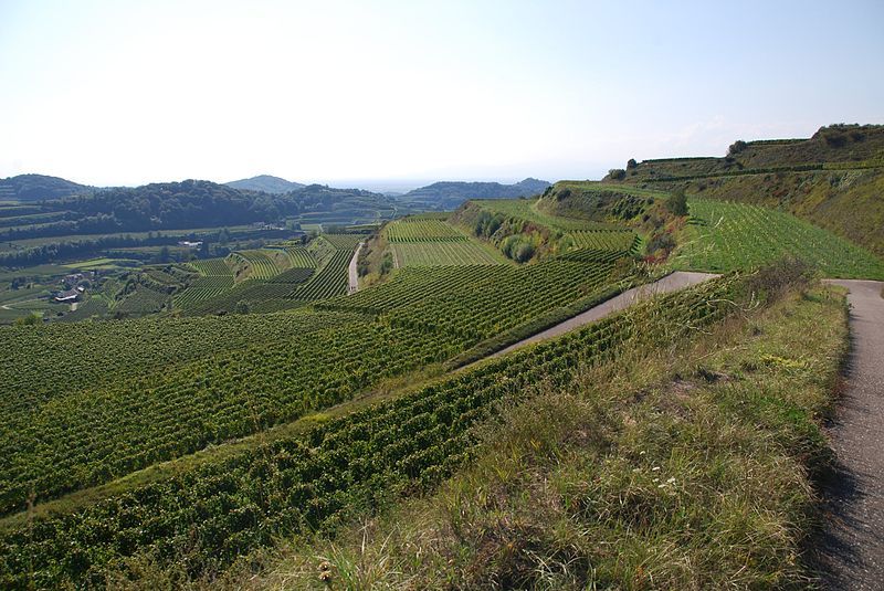 File:Kaiserstuhl Terrassen2.jpg