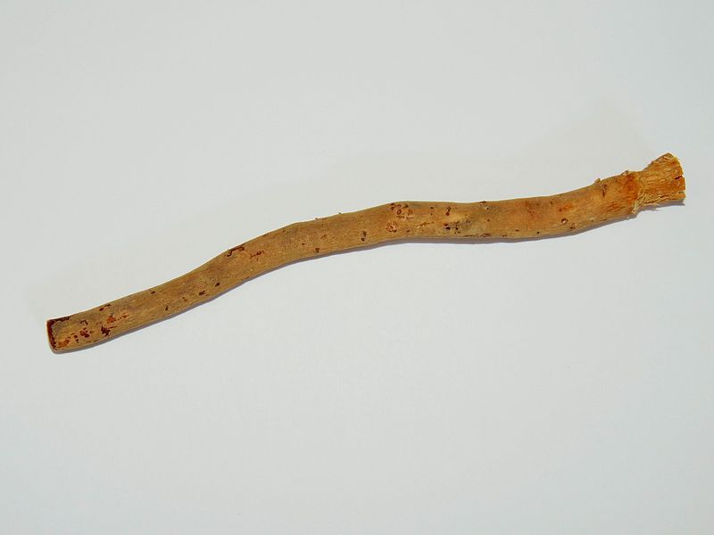 File:Miswak 2014.jpg