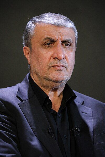 File:Mohammad Eslami 2024.jpg